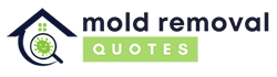 Bloomington Mold Removal Experts